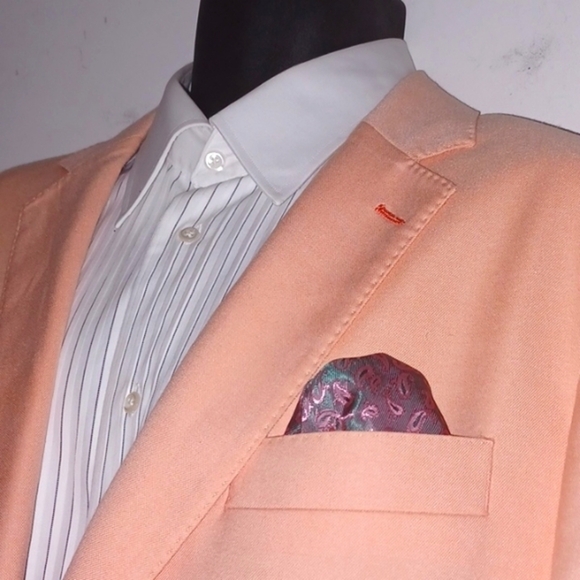 TAILORBYRD Collection Cantaloupe Blazer, 42L - Picture 6 of 12